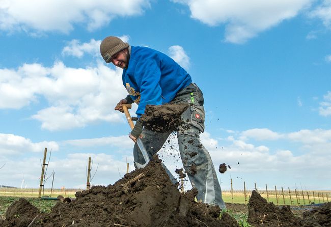Arbeit auf dem Acker
